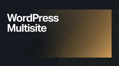 WP Multisite